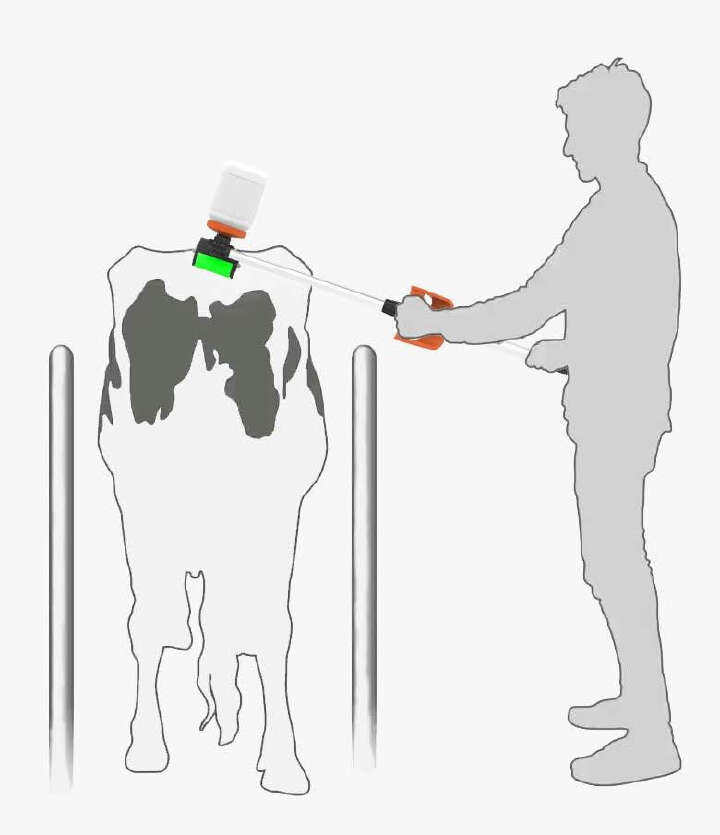 KERBL Tailpainter Applikator